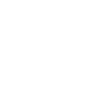 DriveWeb